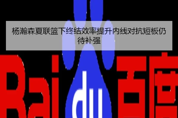 杨瀚森夏联篮下终结效率提升内线对抗短板仍待补强