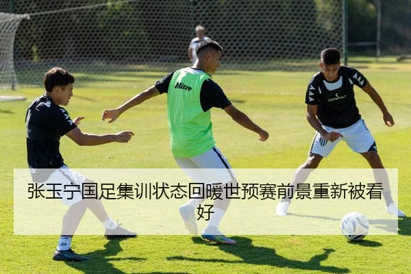 张玉宁国足集训状态回暖世预赛前景重新被看好